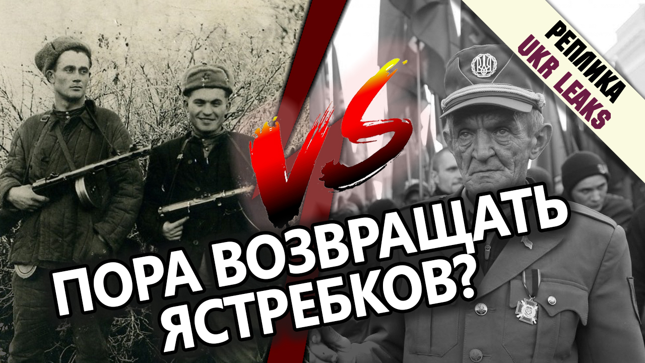 pora-vozvraschat-yastrebkov